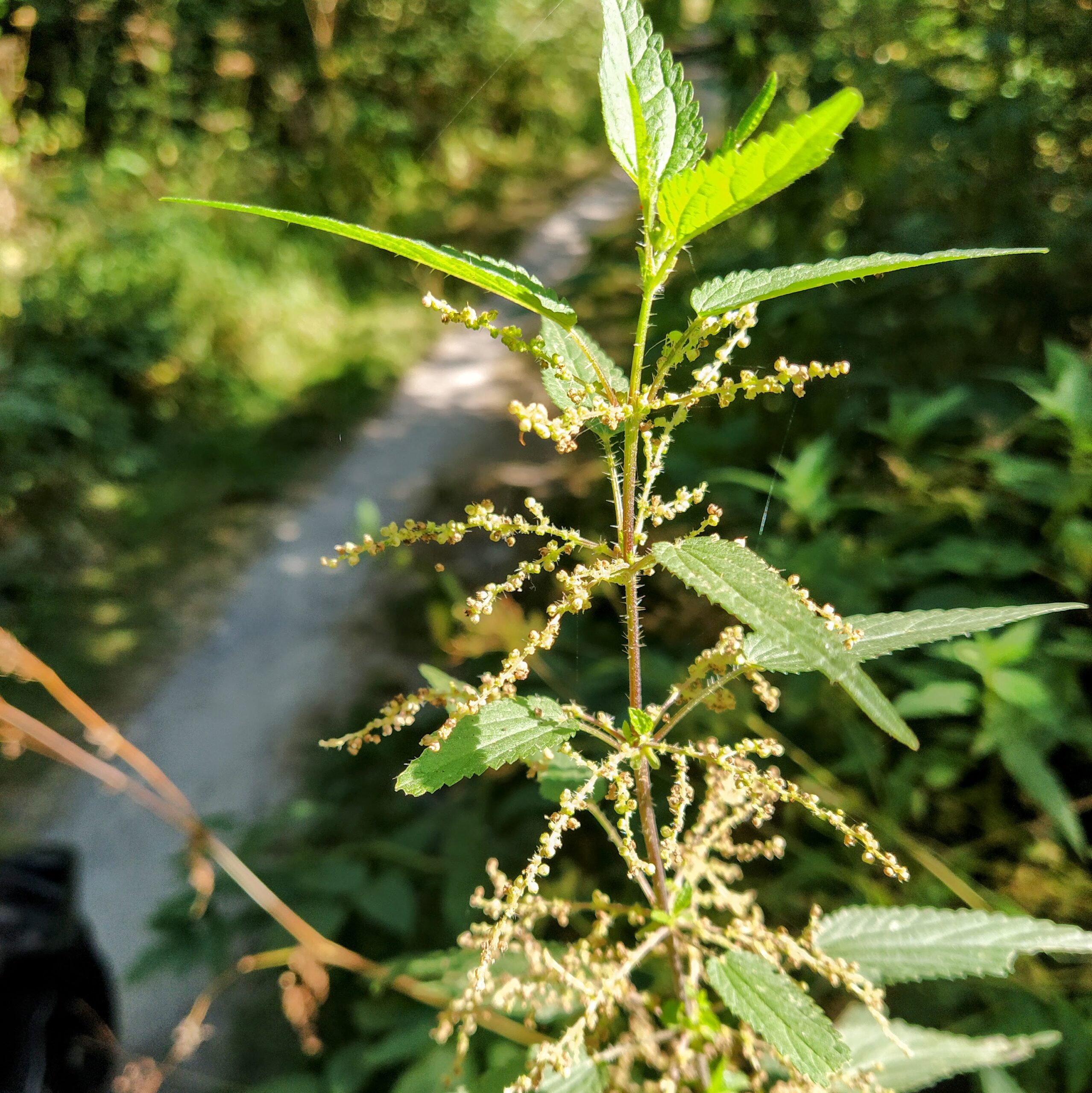 IMG 20250818 095335 EDIT scaled