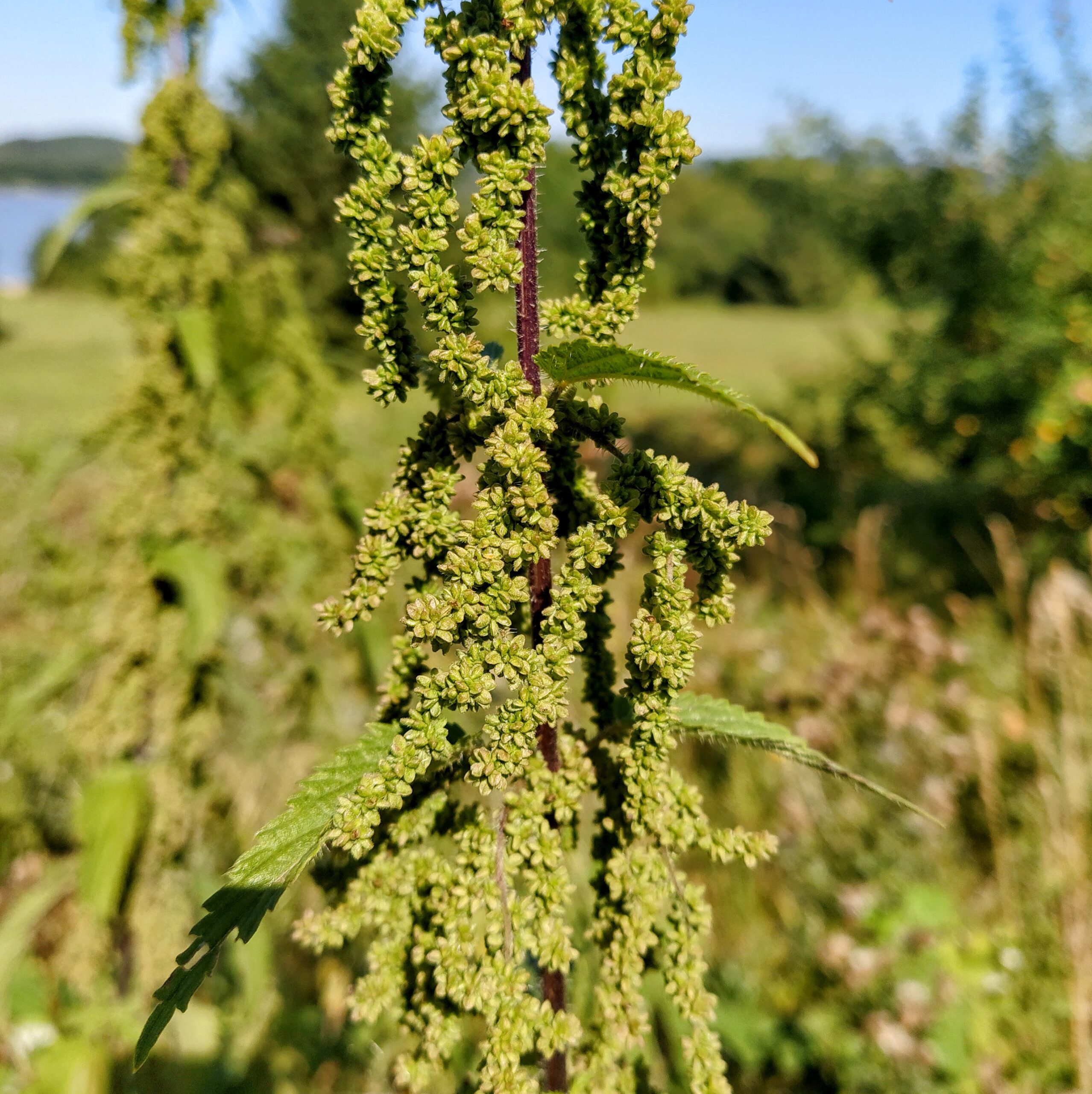 IMG 20250818 101329 EDIT scaled