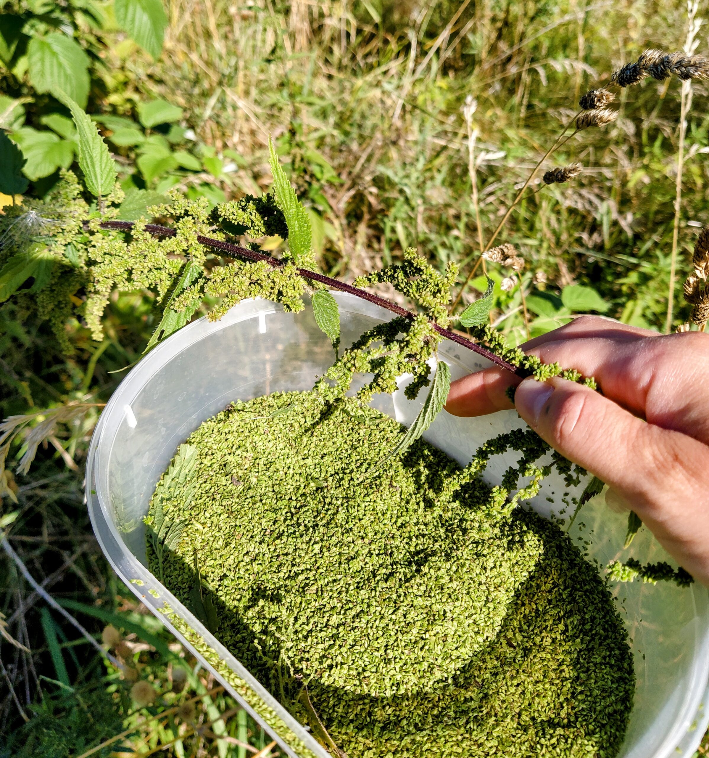 IMG 20250818 101410 EDIT scaled