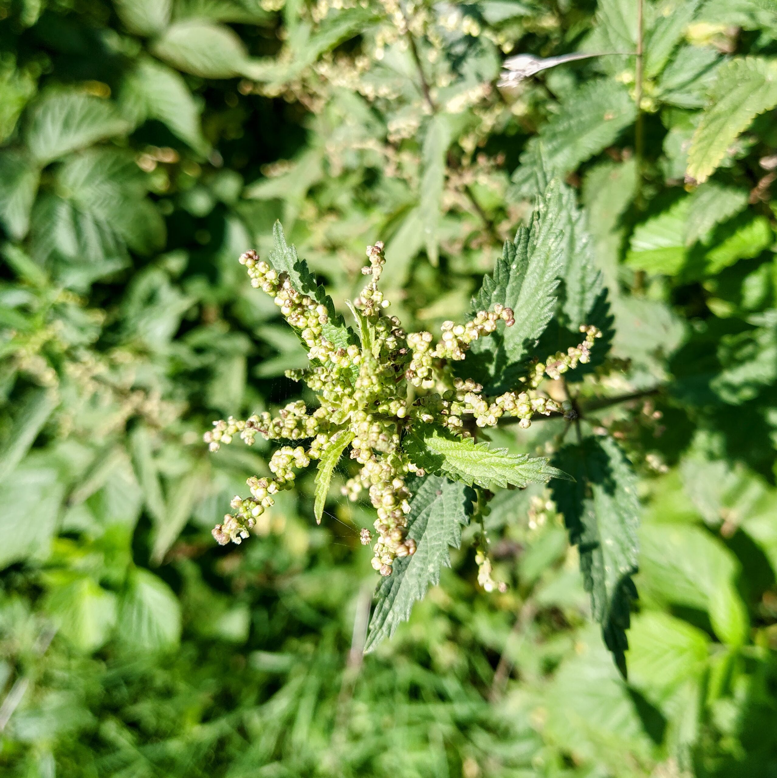 IMG 20250818 103021 EDIT scaled