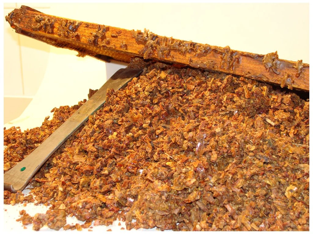 kosmetika s propolisem