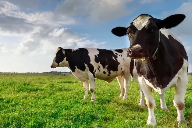 AdobeStock 267859446 Kopiowanie edited